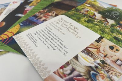 Dynamic Flyer Printing Services